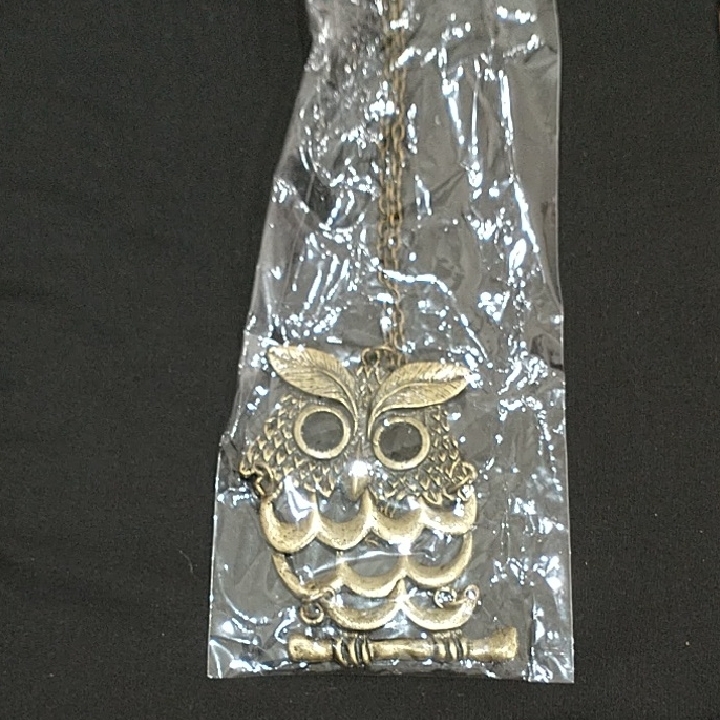 Cc Boutique Gold Owl Pendant Necklace